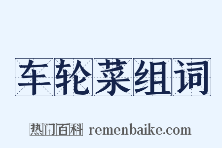 车轮菜组词是什么意思的图片